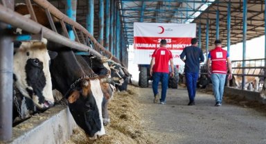 Türk Kızılayı kurban kesimlerini başlattı