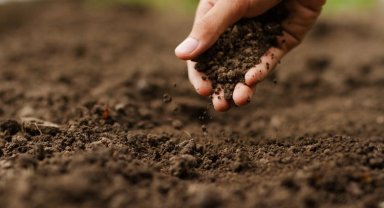 Türkiye'nin yüzde 73.4'ü çölleşme tehlikesi altında