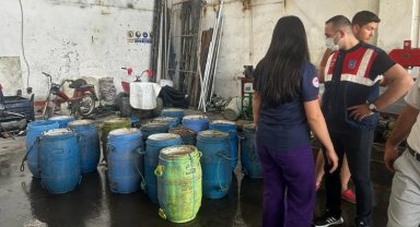 Yasadışı yollarla avlanan deniz patlıcanları denize salındı