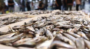 Balıklar da zamlardan nasibini aldı! Hangi balık nasıl pişirilir?