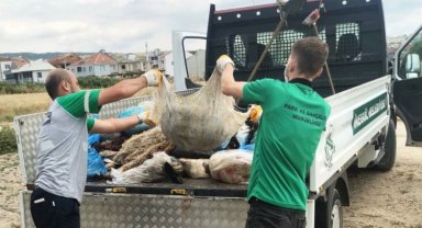 Bursa İnegöl'de 300 ton kurban atığı toplandı