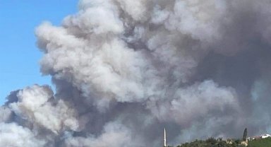 Çanakkale'de alevler yayılıyor