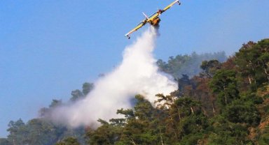 Cumhurbaşkanı Erdoğan'dan 'yeşil vatan' sahipliğine davet