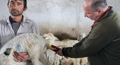 Hayvan dostu Talas'ta anlamlı destek