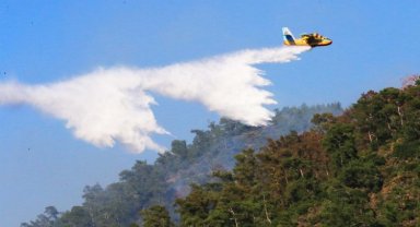 İçişleri'nden 'ormanlara' yeni genelge!