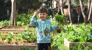 Kadıköy bostanlarında hasat zamanı