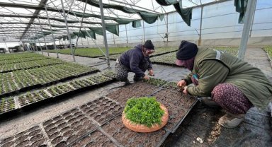 Manisa kendi serasından üretiyor
