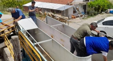 Manisa'da küçükbaş hayvan sağlığına mobil çözüm