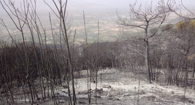 Manisa'dan İzmir Ödemiş yangınına destek