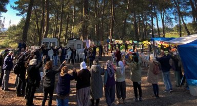 Muğla'da Akbelen Ormanı için ortak 'sivil' çağrı