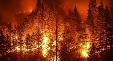 Orman yangınlarının sebebi sabotaj mı, yoksa doğal sebepler mi?