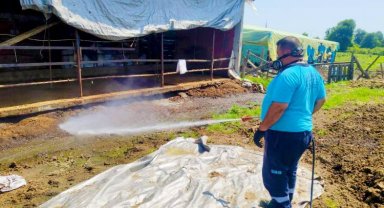 Sakarya'da 16 ilçede vektörle mücadeleye devam