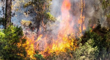 TEMA'dan dikkat çeken farkındalık