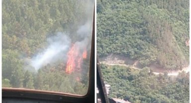 Yalova Çınarcık'taki orman yangını korkuttu