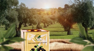 Zeytin satışları Kahta'da ormana dönüşecek