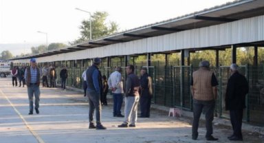 Bursa İnegöl'de hayvan pazarı geçici süreliğine kapalı