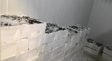 Bursa Balık Hali'nde sıkı denetim