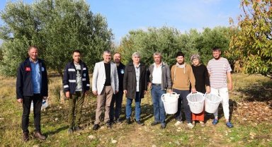 Manisa Turgutlu'da zeytin emekçilerine malzeme