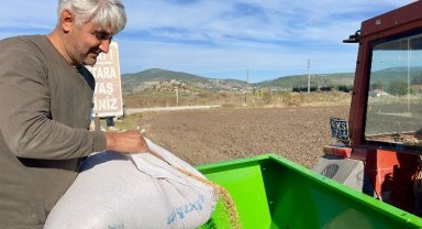 Milas'ta ata tohumları toprakla buluştu