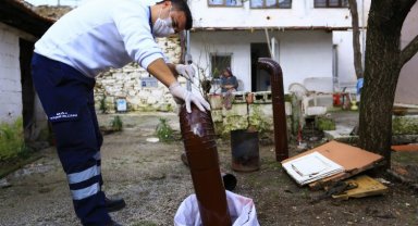 Muğla kırsaldaki çınarların yanında