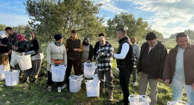 Manisa Akhisar'da zeytin üreticisine koruyucu malzeme