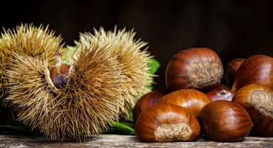 Bursa'nın coğrafi işaret tescilli değeri 33'e çıktı... Bursa Kestanesi de tescile kavuştu