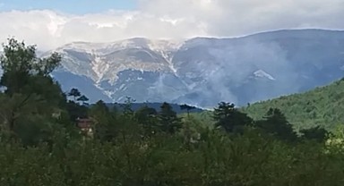 Dağdibi'nde Orman Yangını