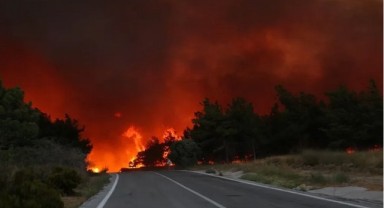 Karşıyaka'daki Orman Yangınında Rüzgar Engeli