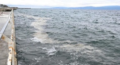 Gemlik Körfezi’nde Müsilaj Tehdidi İncelemeleri
