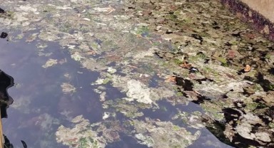 Marmara Denizi'nde Müsilaj Sorunu Yeniden Geri Döndü