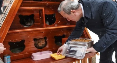 Sivas Belediyesi’nden Sokak Kedilerine ‘Sıcak’ Bir Proje
