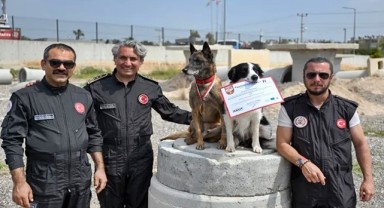 Ares ve Rex, Uluslararası Arama Kurtarma Sınavında Zirveye Yerleşti
