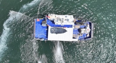 İzmir Körfezi’nde modifiye kil ile balık ölümleri azalıyor