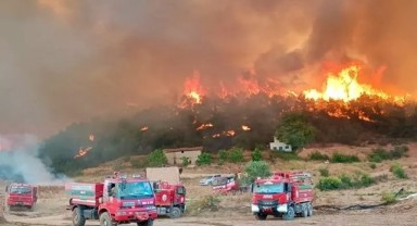 Orman gönüllülerine şehitlik ve yeni haklar geldi