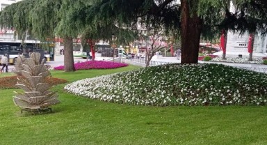 Cumhurbaşkanı Kararıyla kent peyzajına ‘kuraklık’ ayarı!