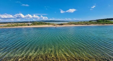 Türkiye’de 5 yeni sulak alan koruma altına alındı