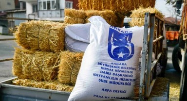 Ankara’da Mandacılara Yüzde 100 Hibeli Yem Desteği