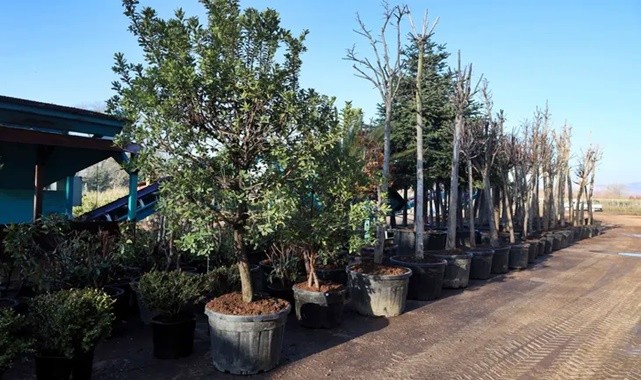 Kocaeli’de Torf Üretimiyle 50 Milyon Liralık Tasarruf