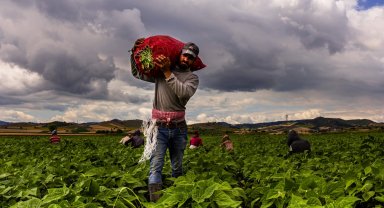Bursa Yenişehir'de tarımı geliştiren, sanayi ve ticareti büyüten anlayış hakim
