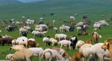 Kırsalda Bereket başvurularında son gün 30 Nisan