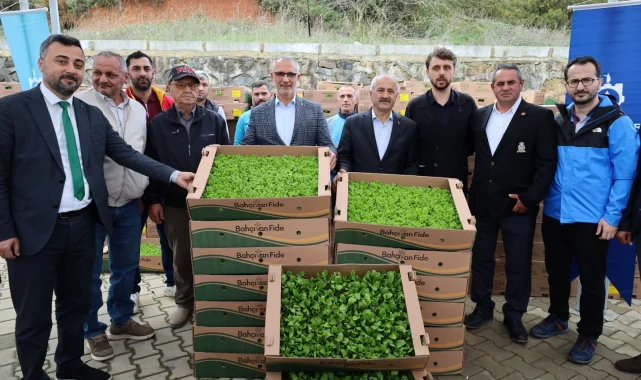Kocaeli'de çiftçilere sebze fidesi desteği
