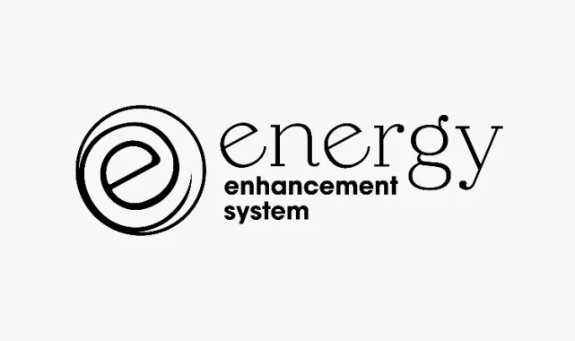 Mahkeme, EESystem davasında Jason Shurka aleyhine karar vererek, 54.034 Dolar federal yaptırım kararı aldı