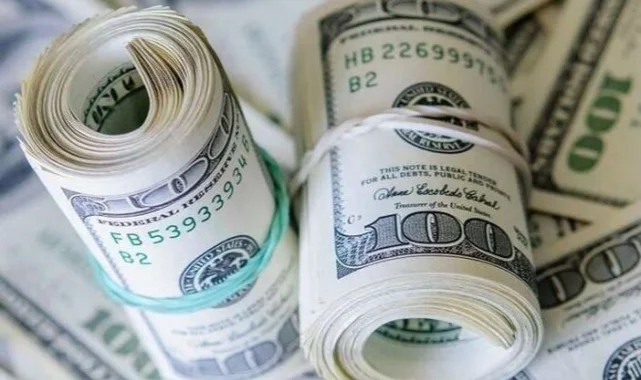 Türkiye'nin net uluslararası yatırım pozisyonu Şubat'ta da açık verdi