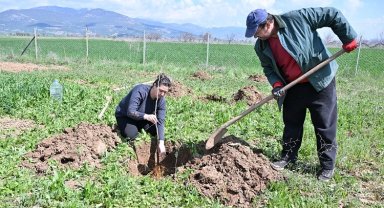 Antalya Büyükşehir ipek böceği yetiştiriciliğini yaygınlaştırıyor