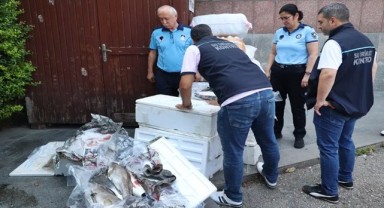 Antalya Otogar’da 260 kilo kaçak balık ele geçirildi