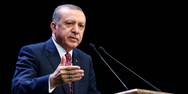 Almanya Erdoğan'ın önerisine destek çıktı