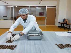 Keçiboynuzundan Çikolata Üretildi
