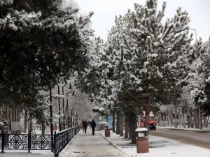 Erzurum Güne Karla Uyandı