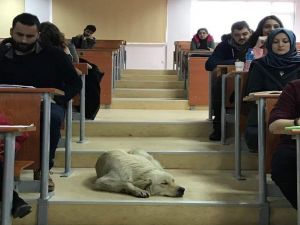 Öğrencilerden Örnek Davranış