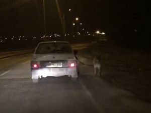 Bu Nasıl İnsan !